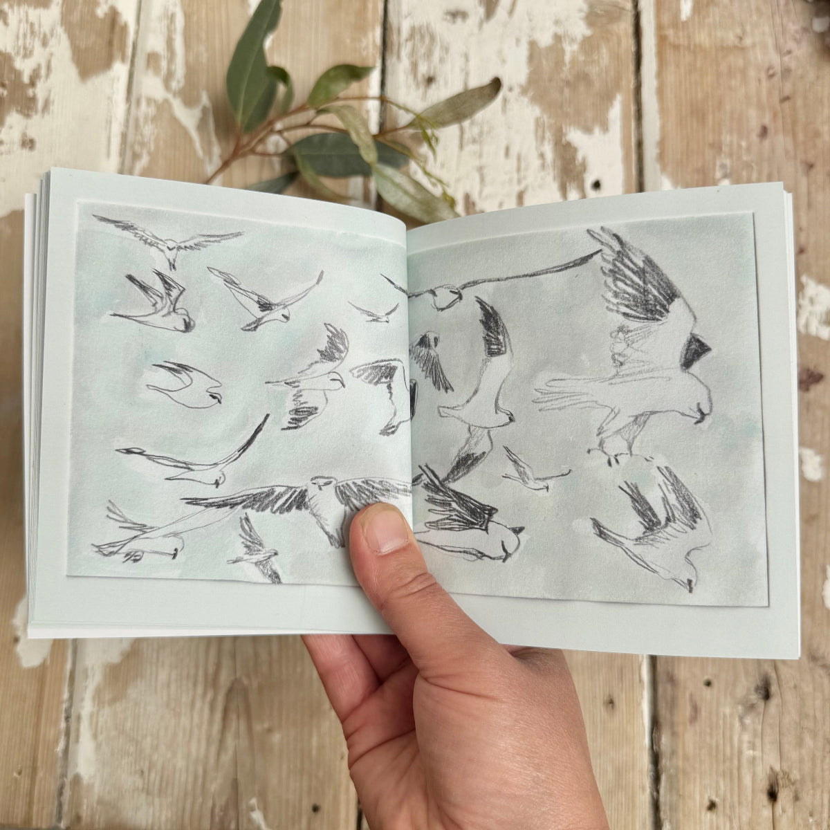 Open book with black and white illustrations of birds held by a hand on a wooden surface.