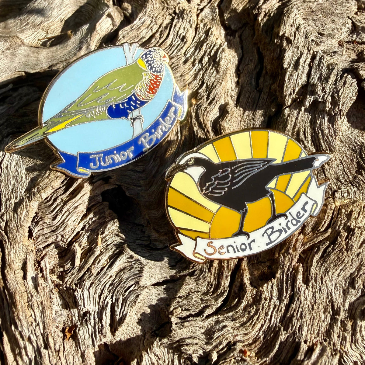 Birder Family Bundle