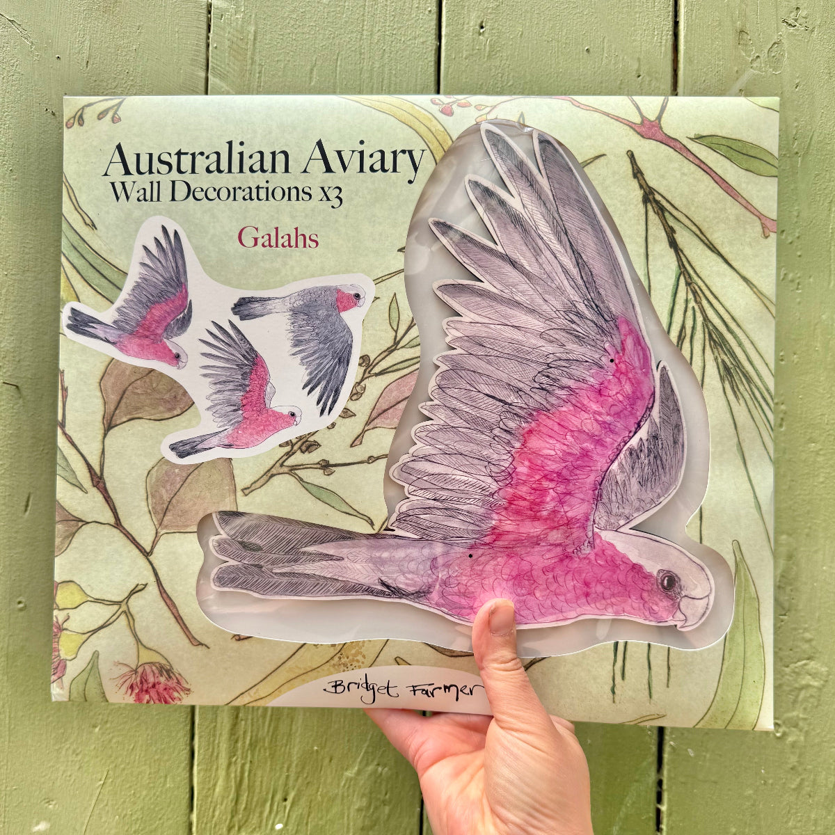Packaging of Australian Aviary wall decorations featuring galahs on a green wooden surface.