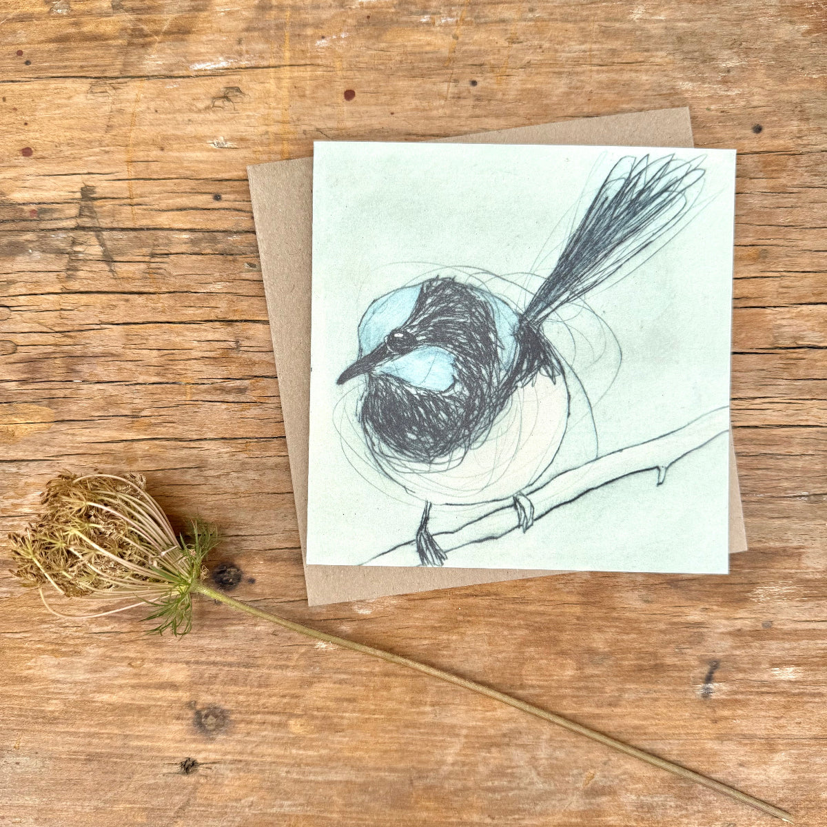 a greeting card depicting a superb fairywren