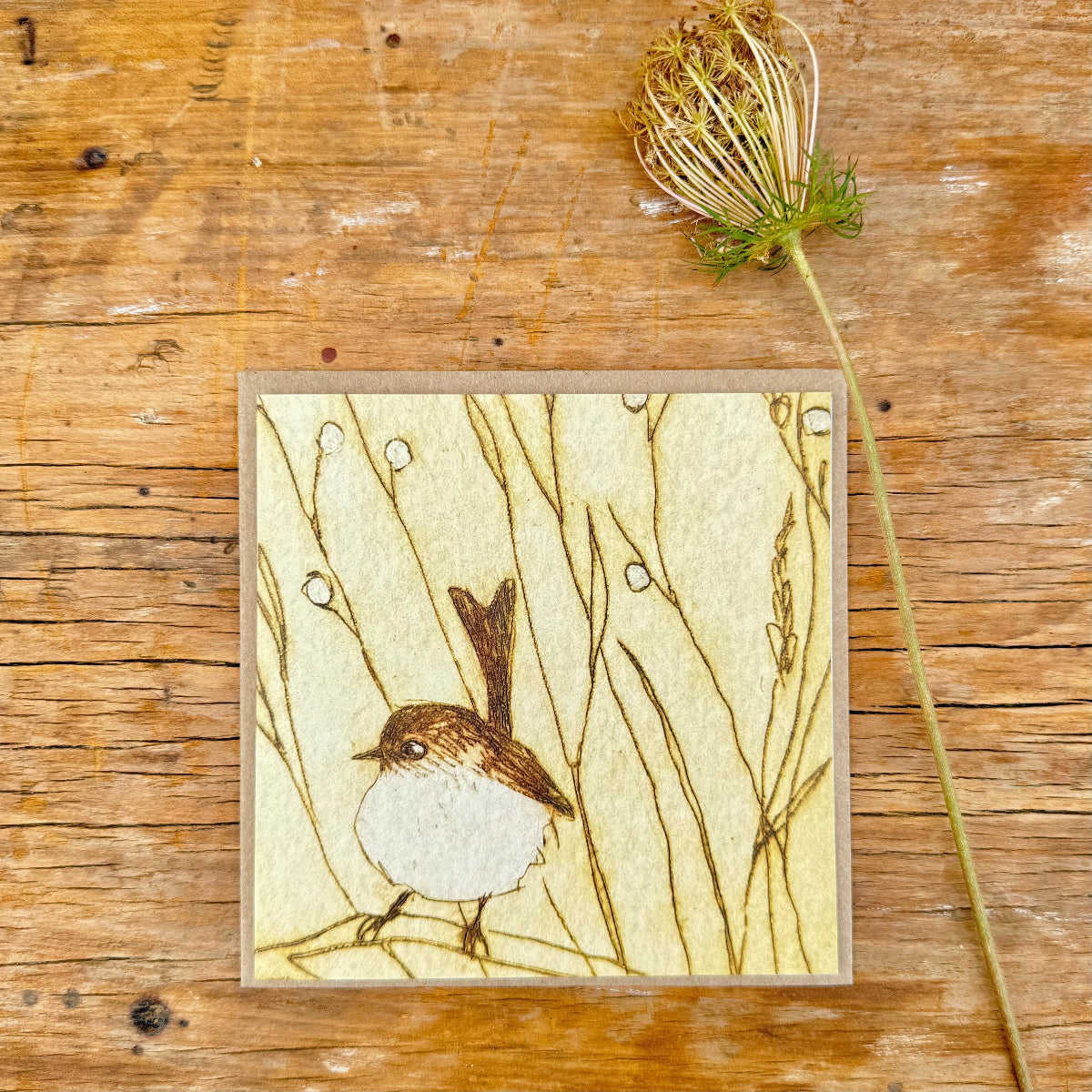greeting card with a fairywren