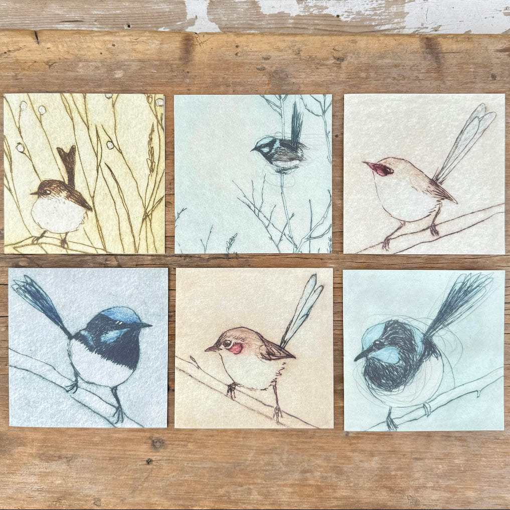 Fairywrens - 6 Greeting Cards