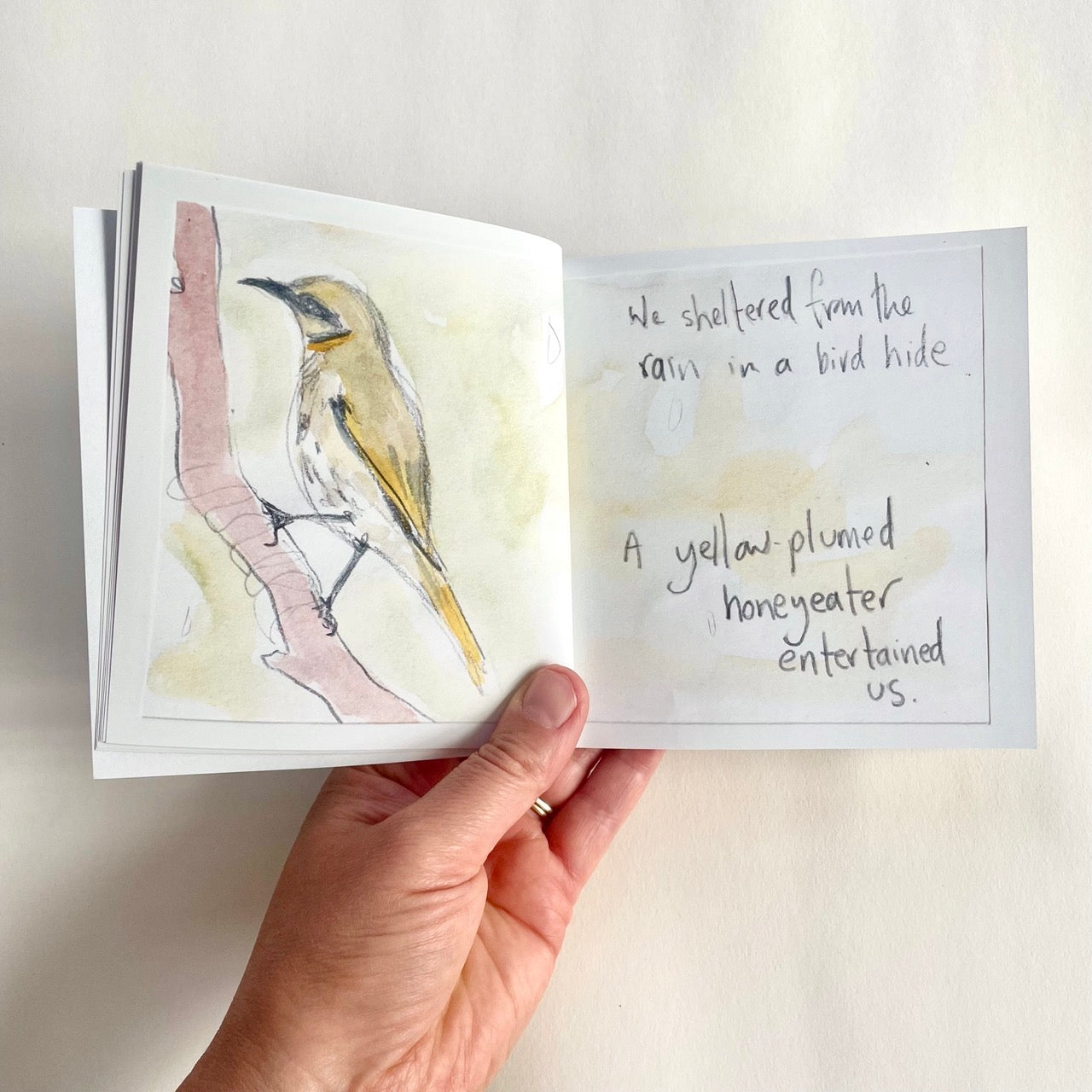 Artist Minibook - Gluepot Girls