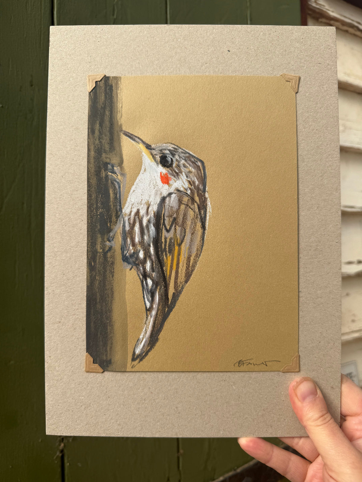 A loose line original drawing of a native Australian bird by Bridget Farmer