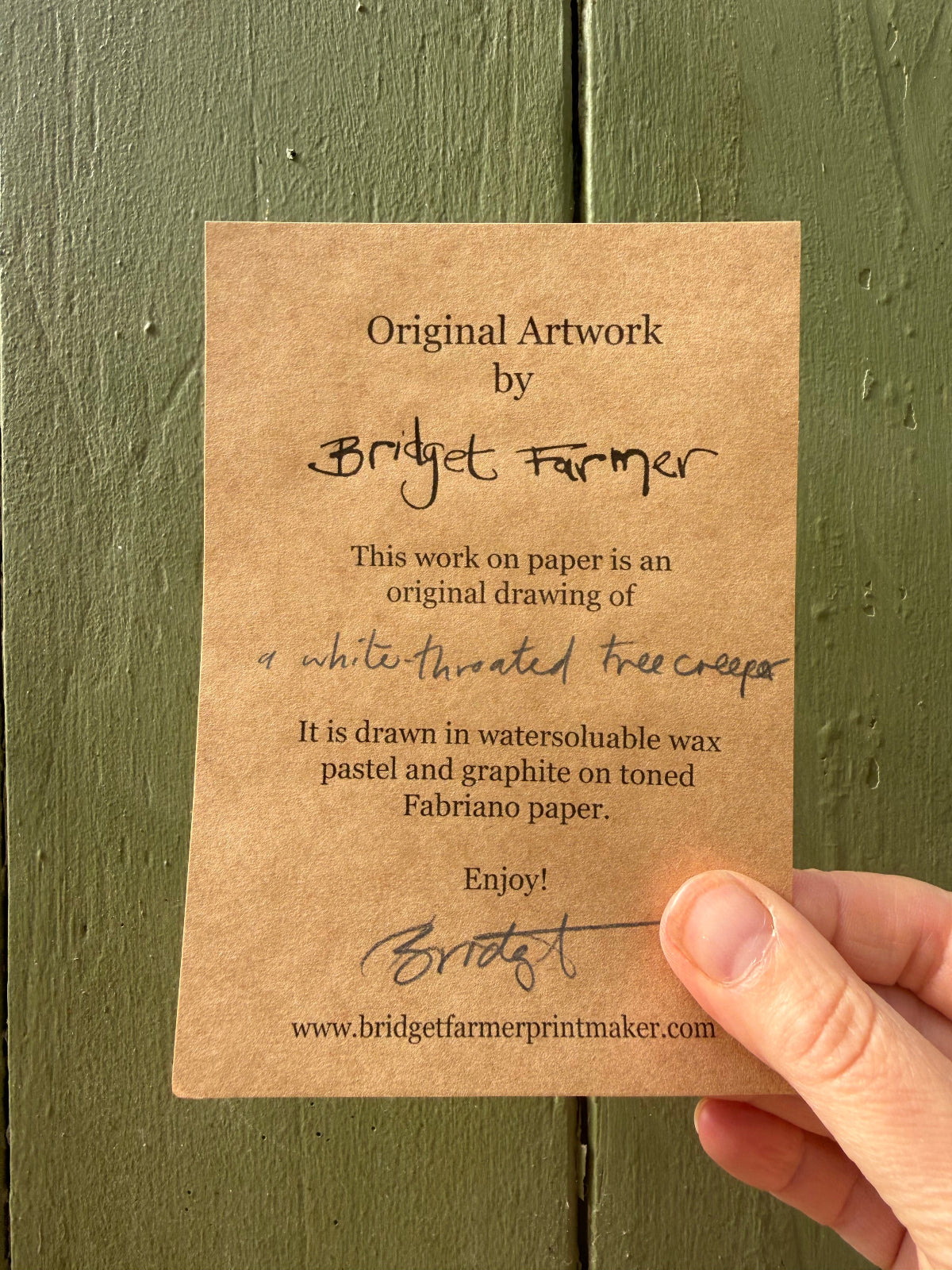 White-throated Treecreeper - A5 Original Drawing (D4)