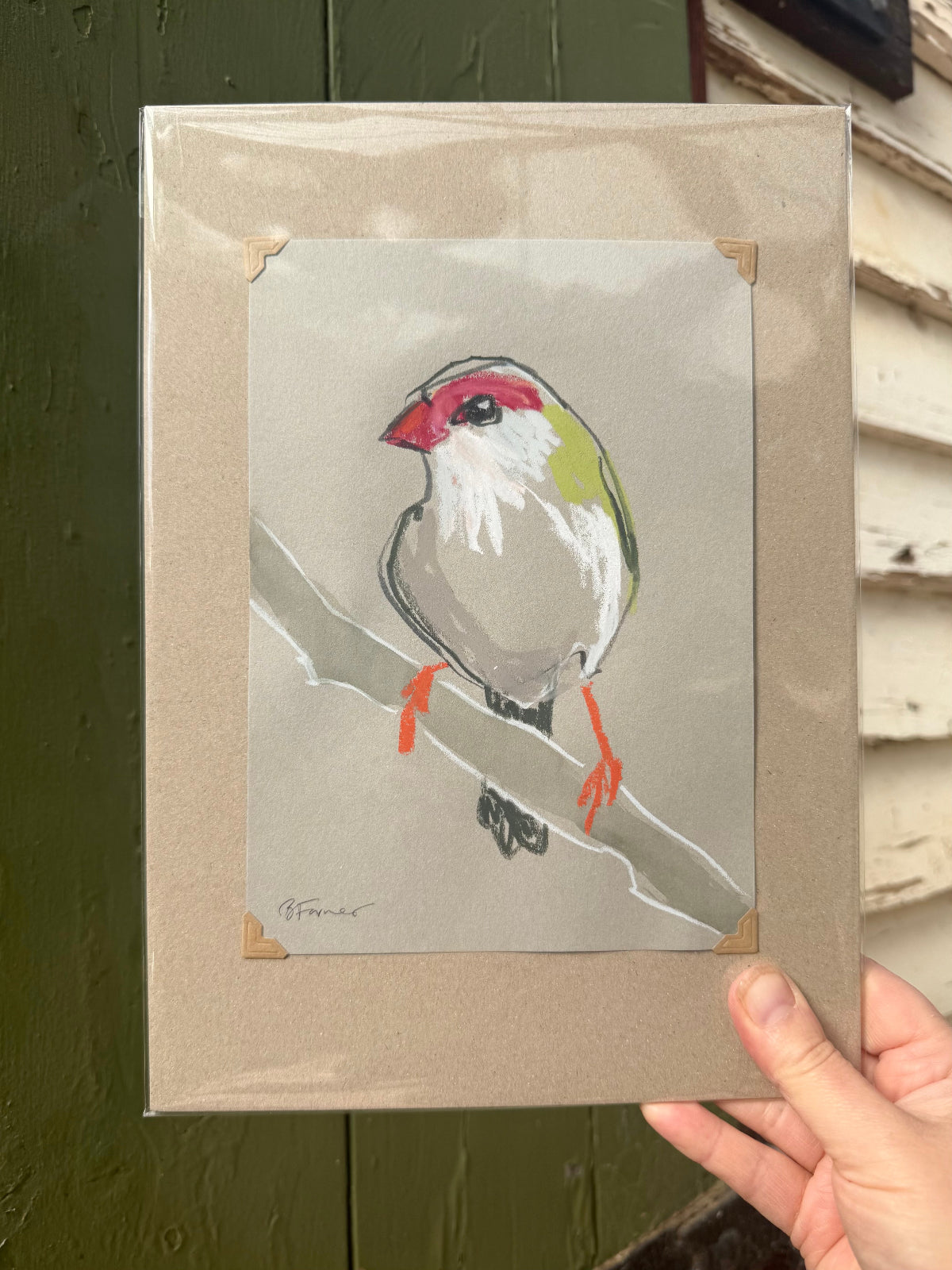A loose line original drawing of a native Australian bird by Bridget Farmer
