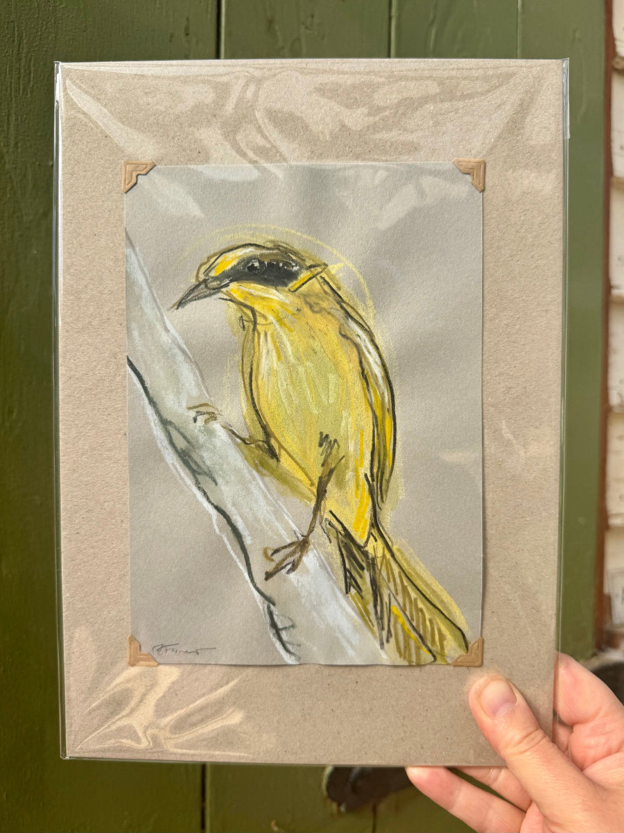 A loose line original drawing of a native Australian bird by Bridget Farmer