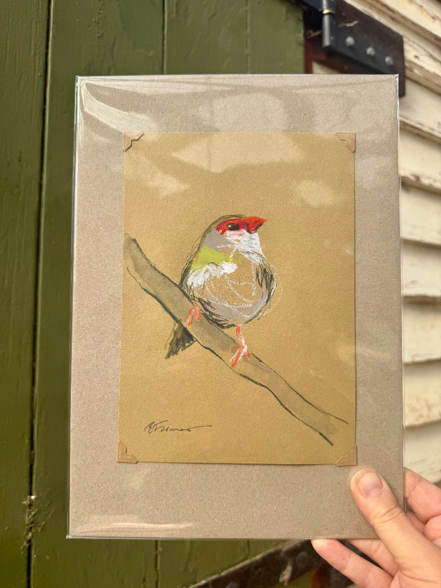 A loose line original drawing of a native Australian bird by Bridget Farmer