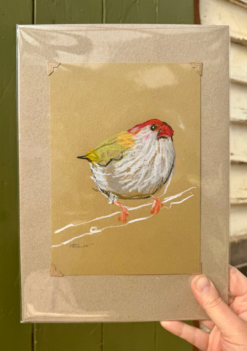 A loose line original drawing of a native Australian bird by Bridget Farmer