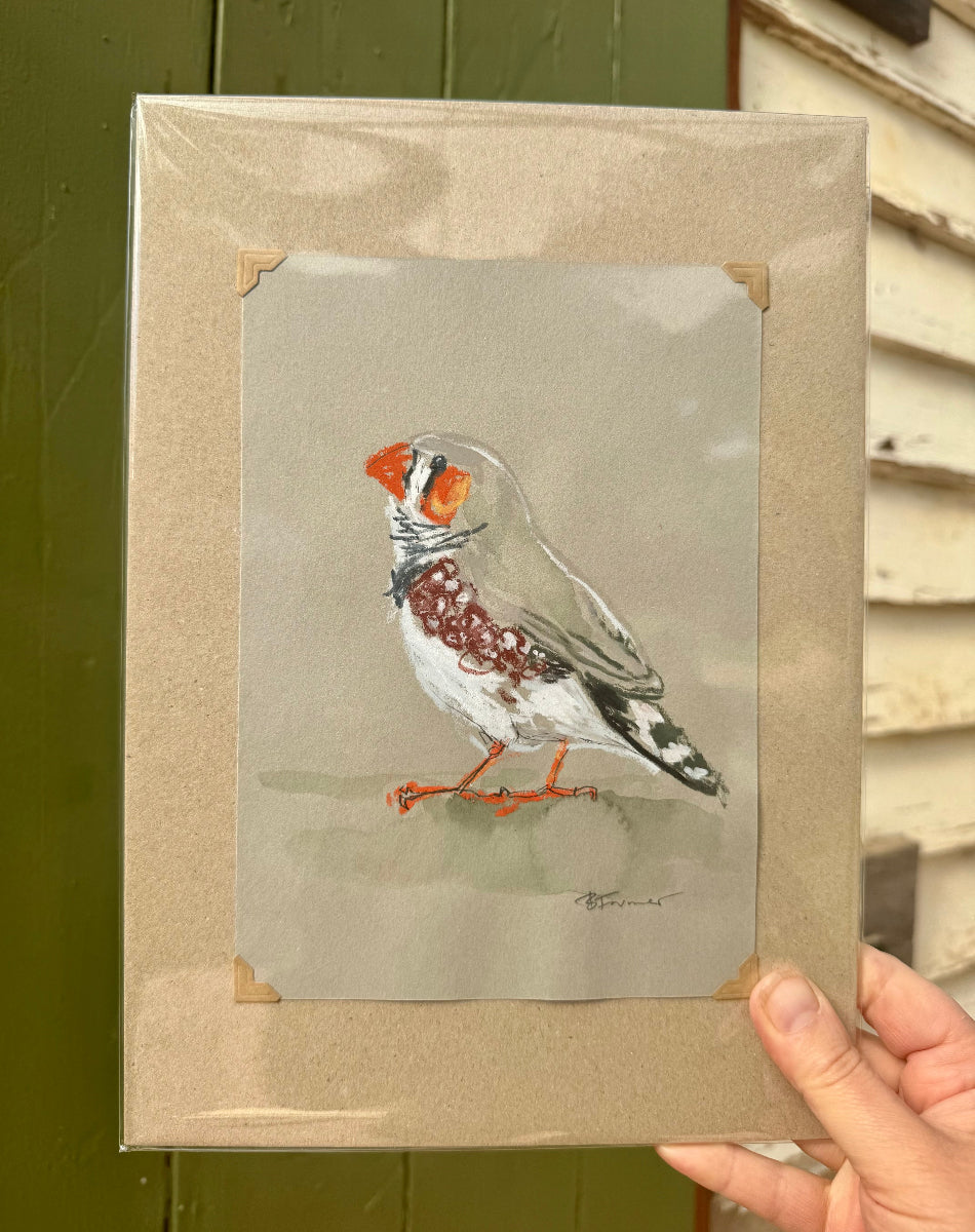 A loose line original drawing of a native Australian bird by Bridget Farmer