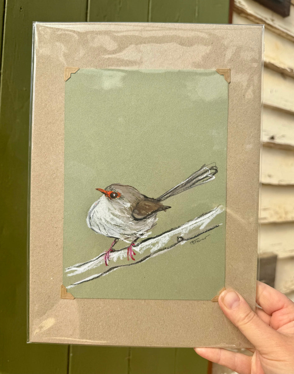 A loose line original drawing of a native Australian bird by Bridget Farmer