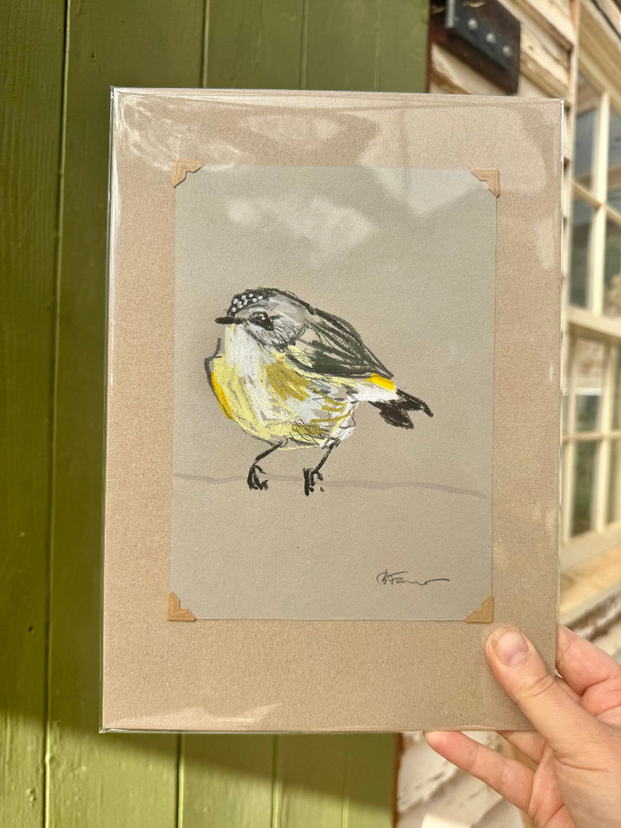 A loose line original drawing of a native Australian bird by Bridget Farmer