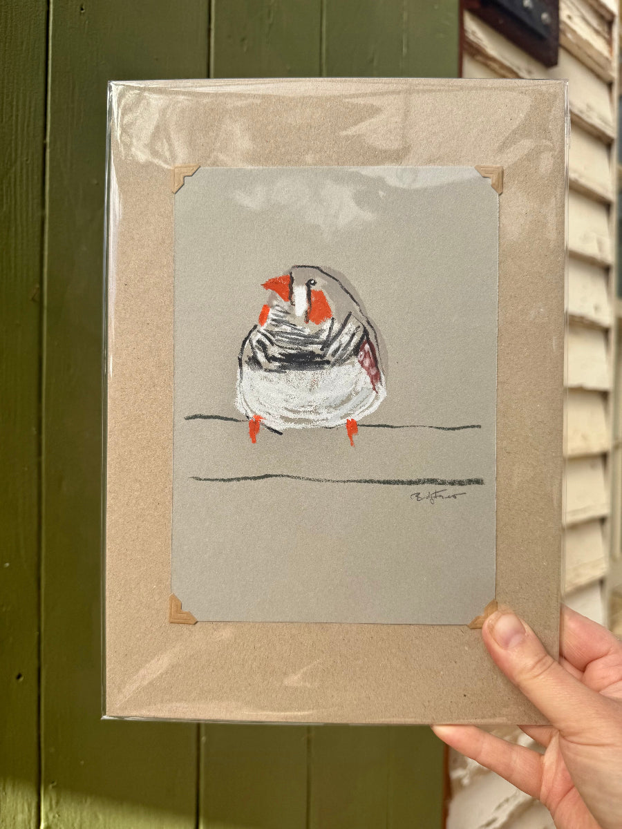A loose line original drawing of a native Australian bird by Bridget Farmer