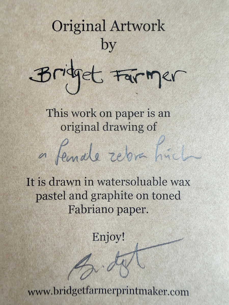 Text on a textured paper background about an artwork by Bridget Farmer