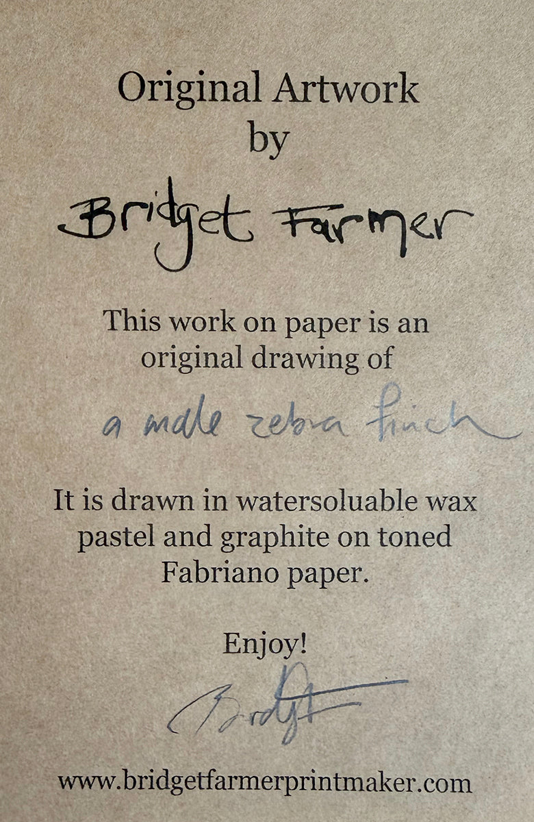 Certificate of authenticity for artwork by Bridget Farmer on a textured brown background