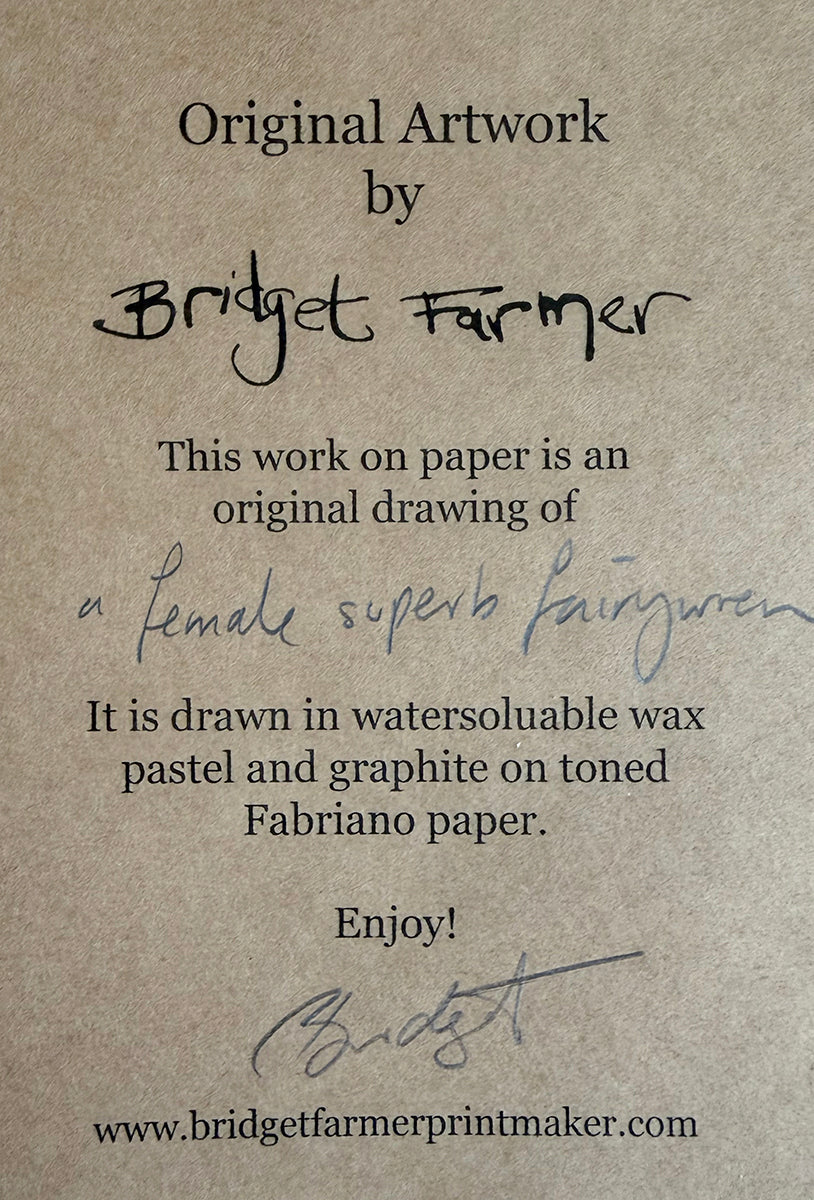 Signature and description of artwork by Bridget Farmer on a textured brown background