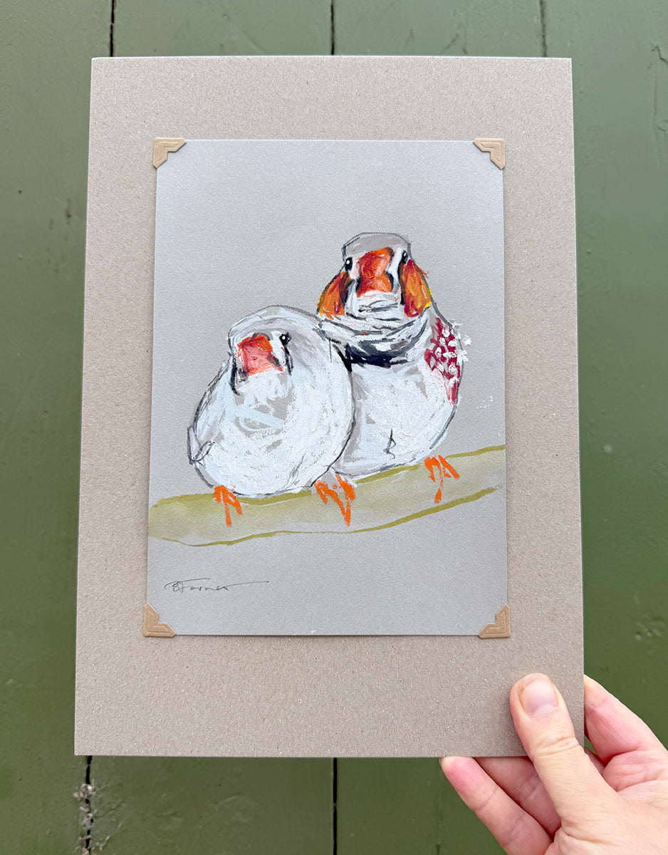 A loose line original drawing of a native Australian bird by Bridget Farmer