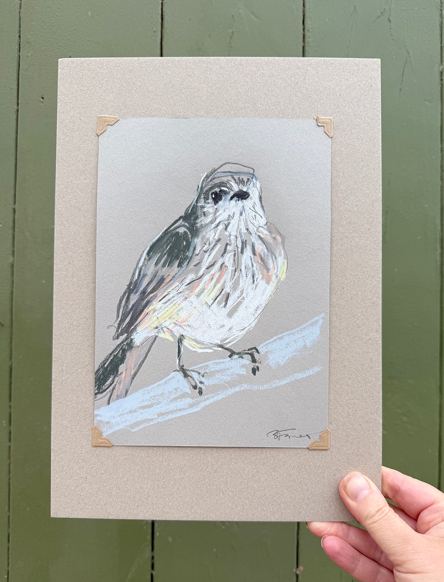 A loose line original drawing of a native Australian bird by Bridget Farmer