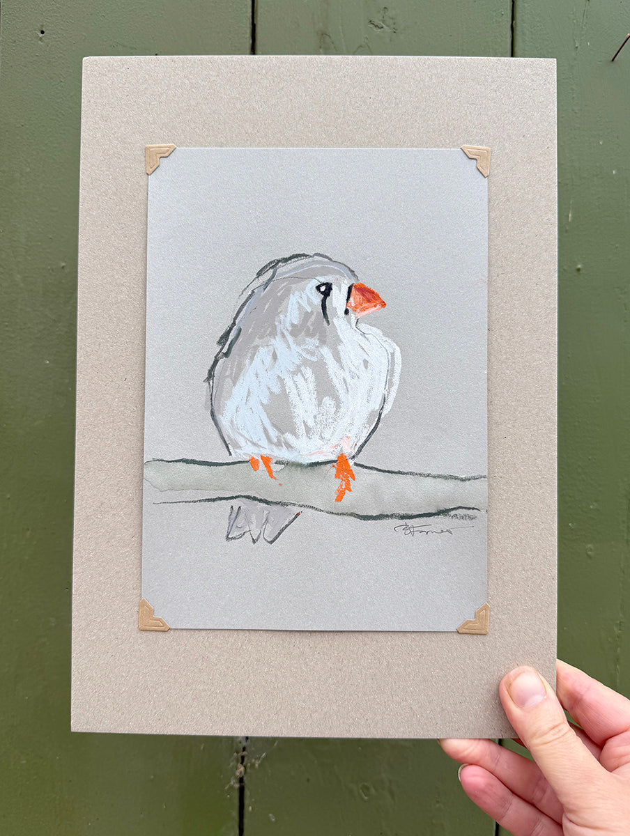 A loose line original drawing of a native Australian bird by Bridget Farmer