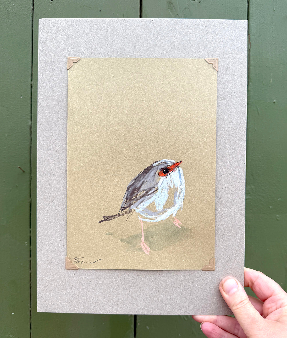 A loose line original drawing of a native Australian bird by Bridget Farmer