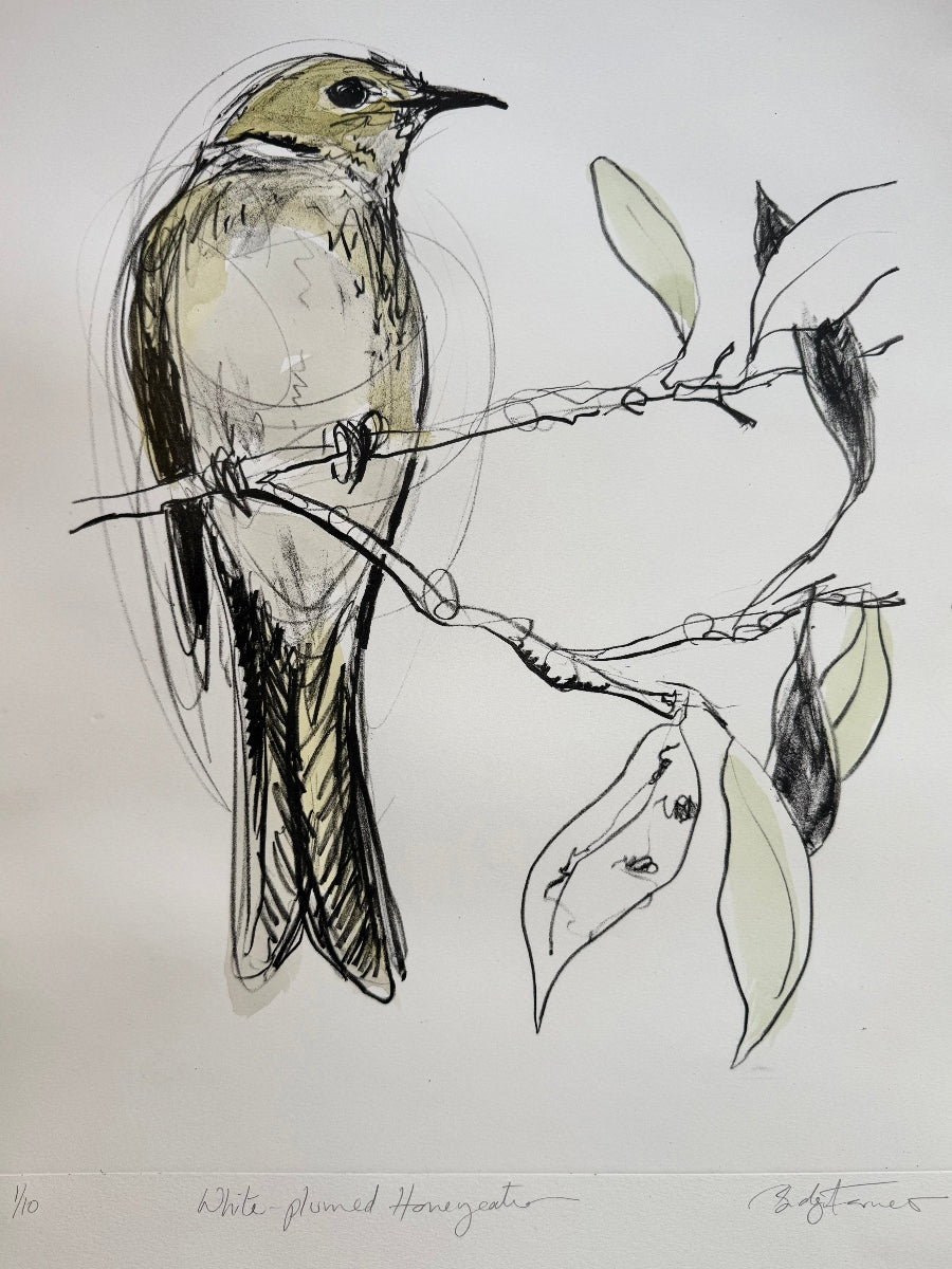 Illustration of a bird perched on a branch with leaves