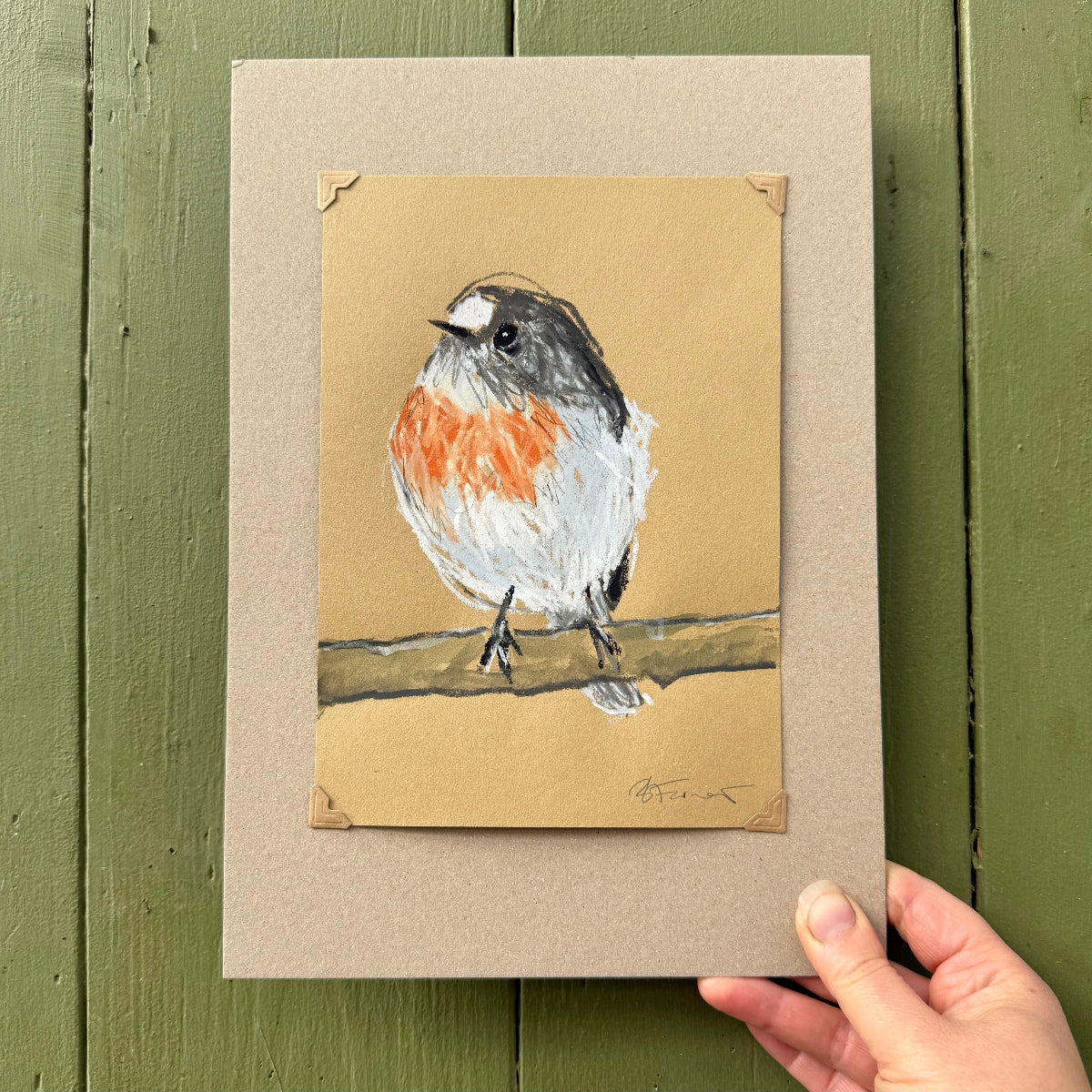 Female Scarlet Robin - A5 Original Drawing (D32)