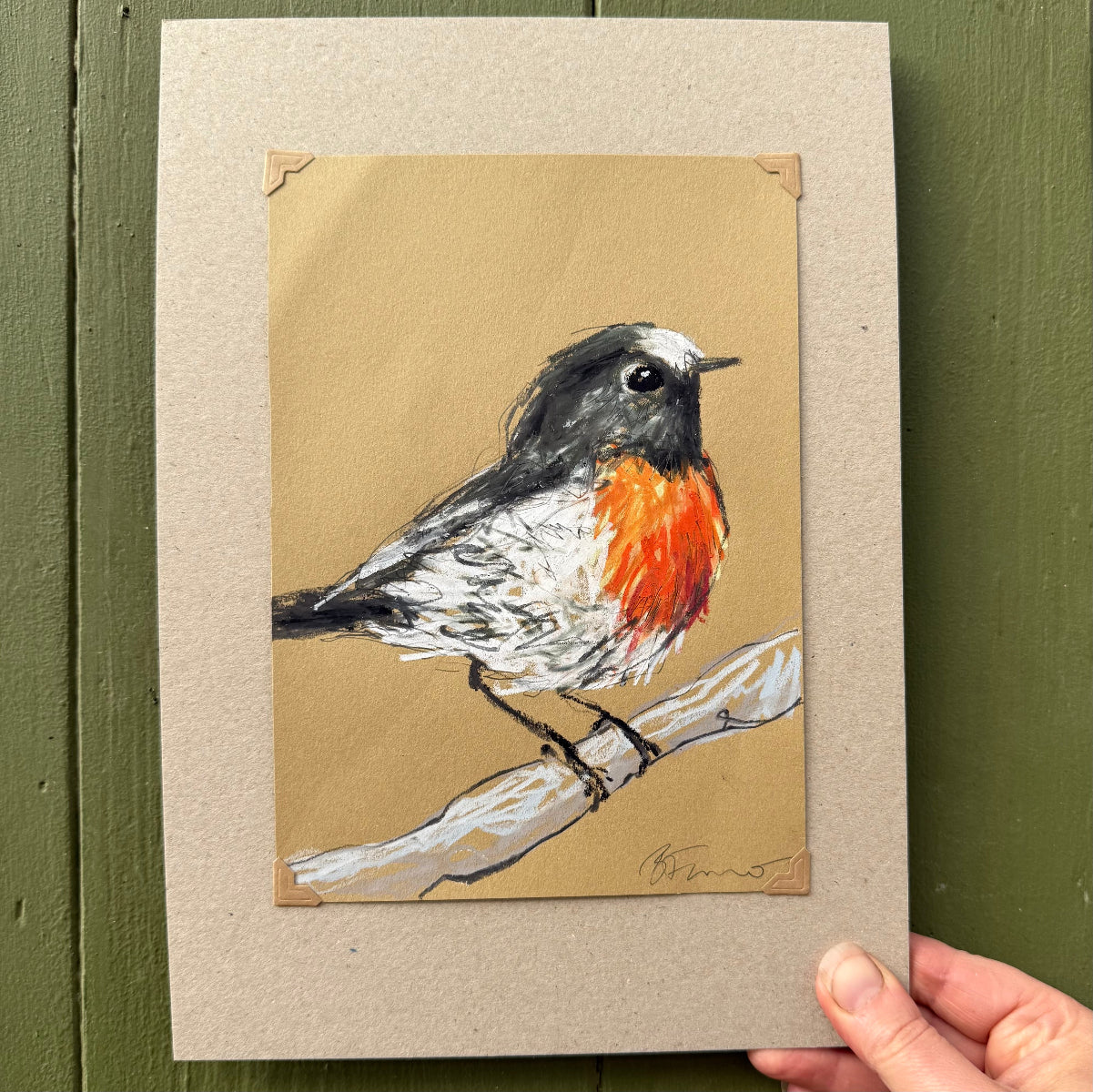 Male Scarlet Robin - A5 Original Drawing (D34)