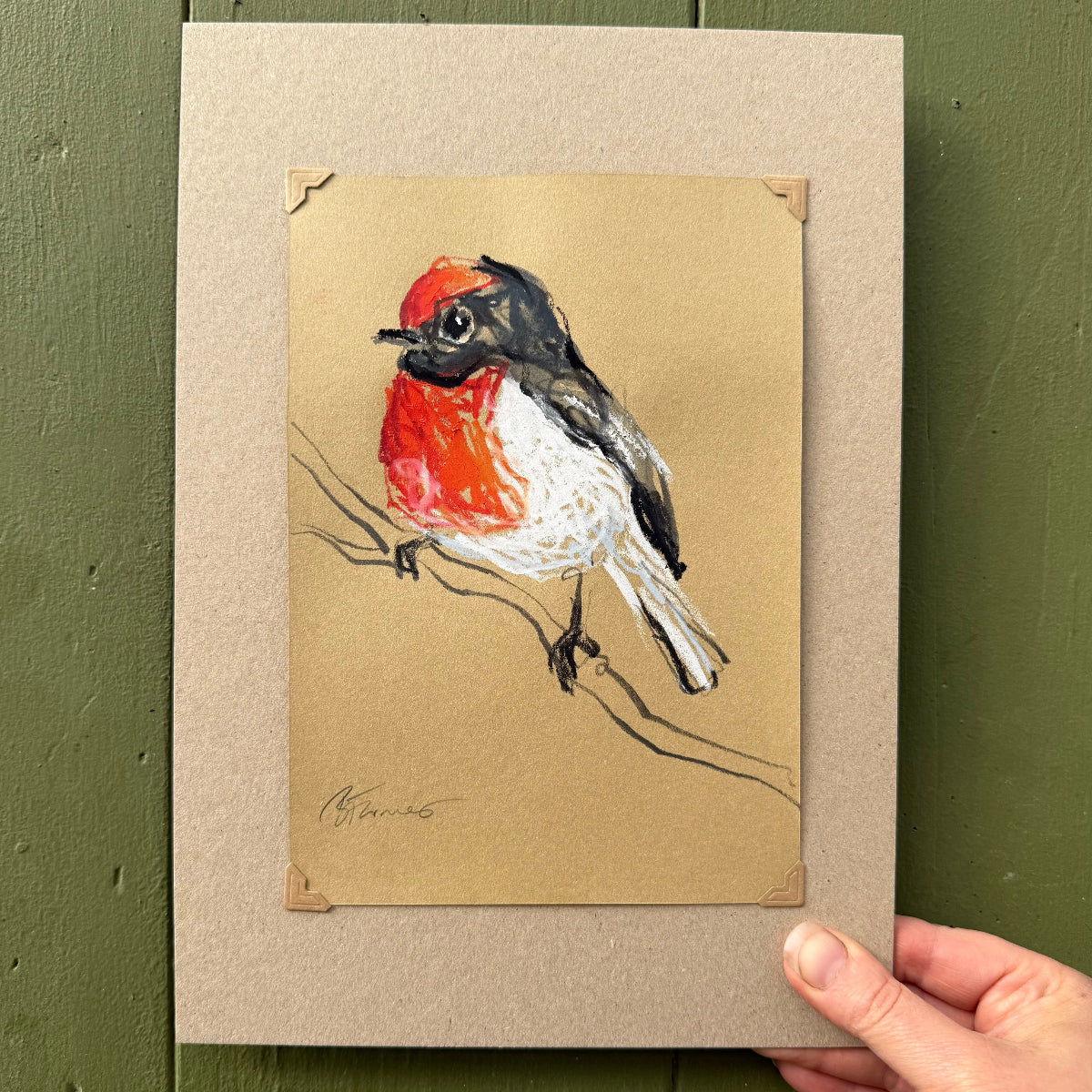 Red- Capped Robin - A5 Original Drawing (D38)