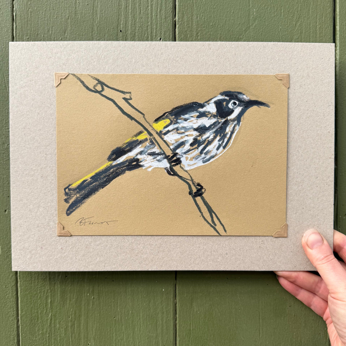 New Holland Honeyeater - A5 Original Drawing (D36)