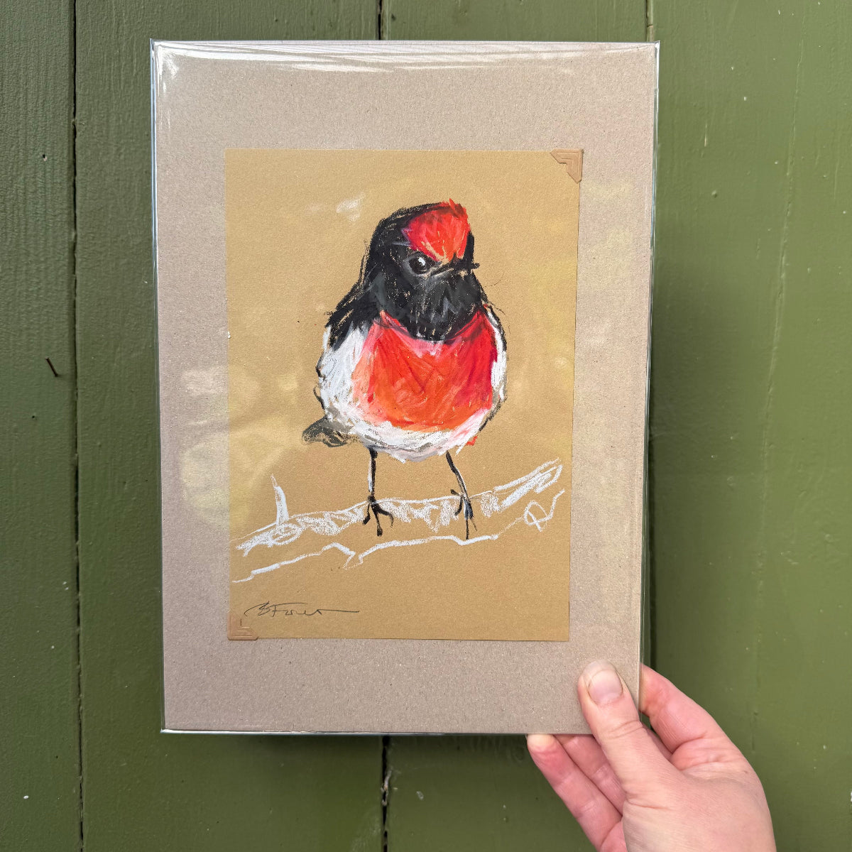 Male Red-capped Robin - A5 Original Drawing (D40)