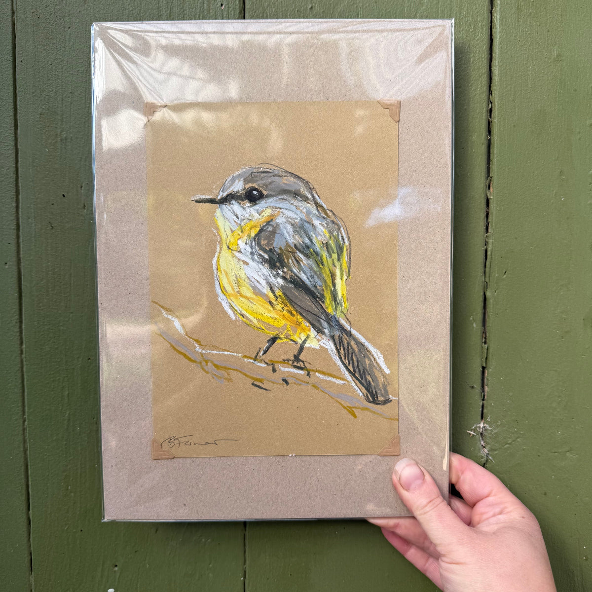 Eastern Yellow Robin - A5 Original Drawing (D42)
