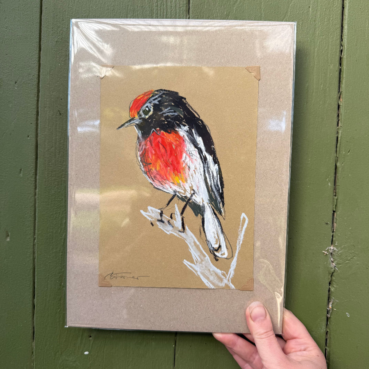 Male Red-capped Robin - A5 Original Drawing (D43)