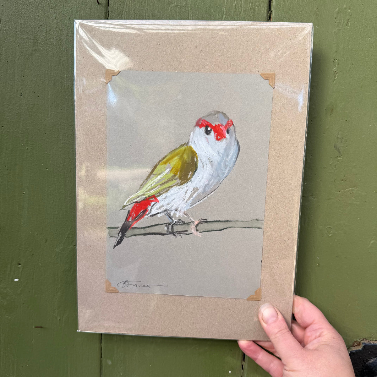 Red-browed Finch - A5 Original Drawing (D45)