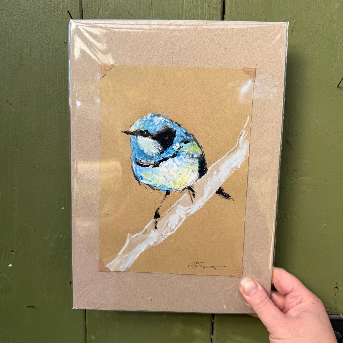 Male Splendid Fairywren - A5 Original Drawing (D47)