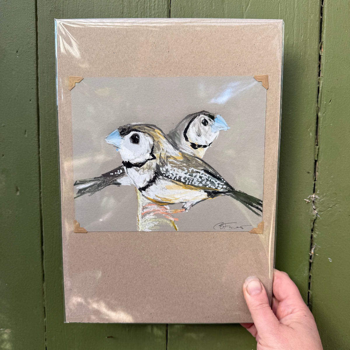 Double Barred Finches - A5 Original Drawing (D51)