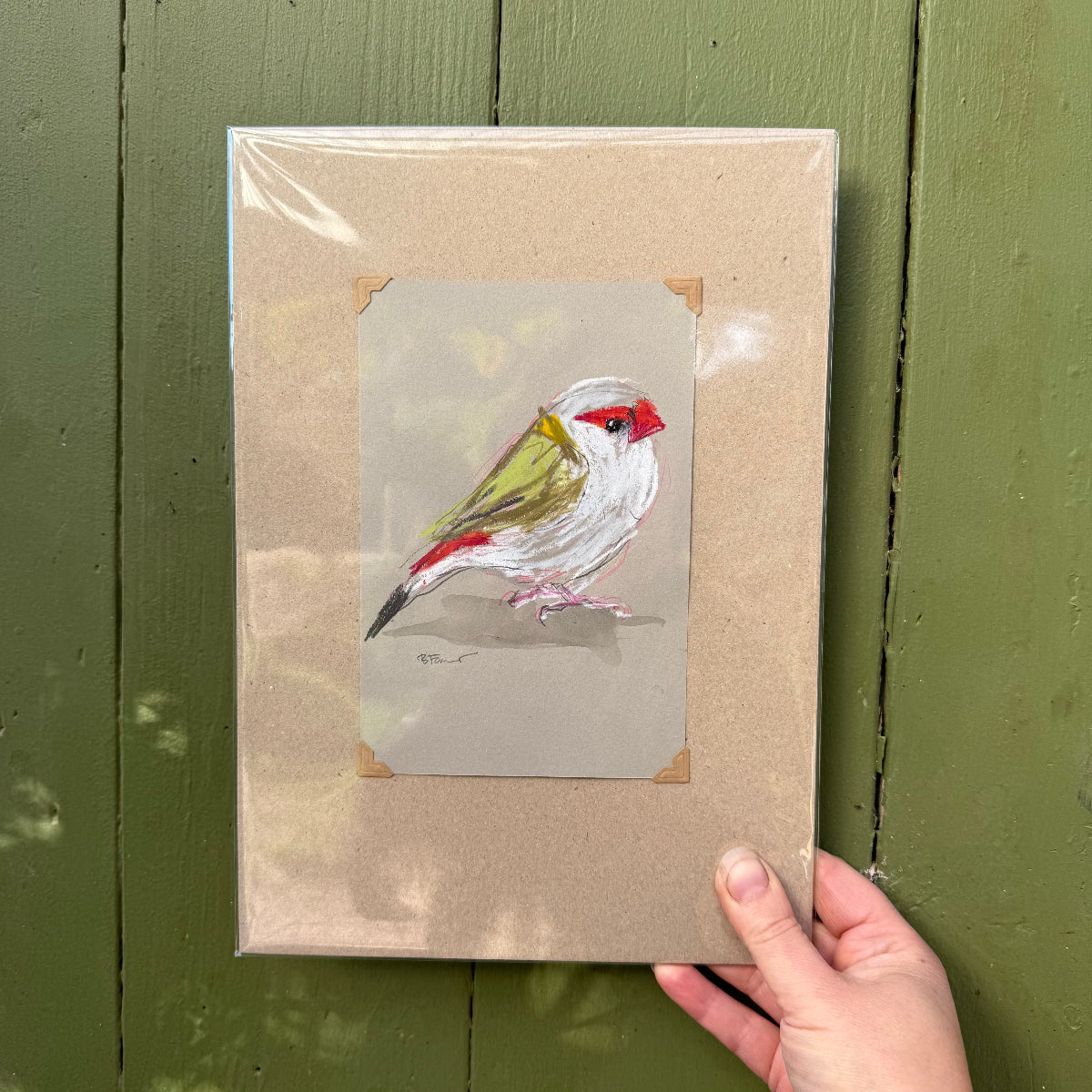 Red Browed Finch - A5 Original Drawing (D53)