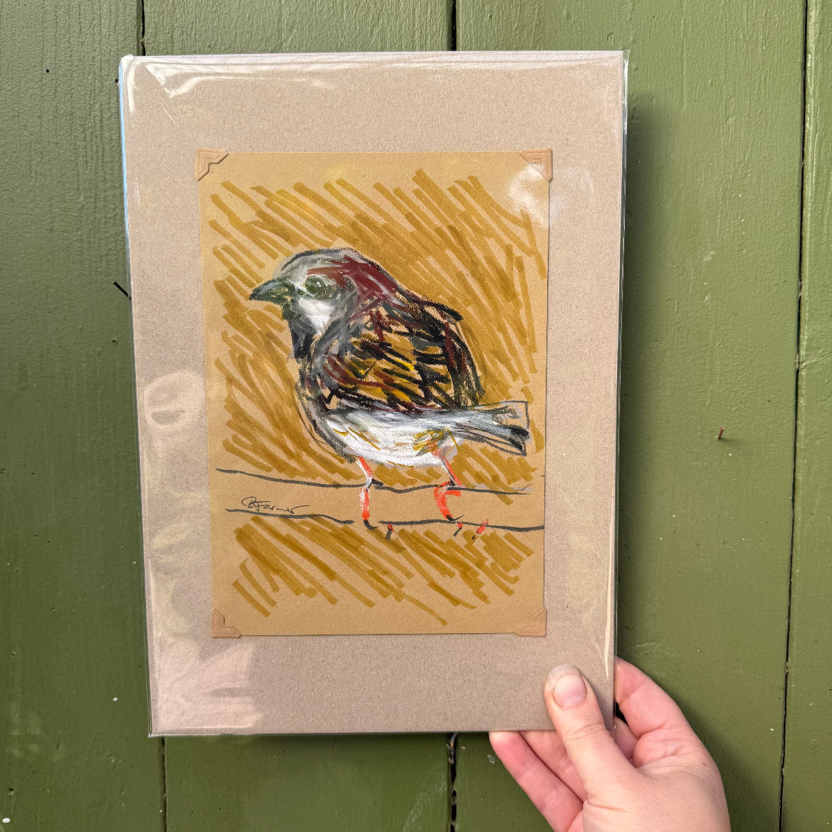House Sparrow - A5 Original Drawing (D55)