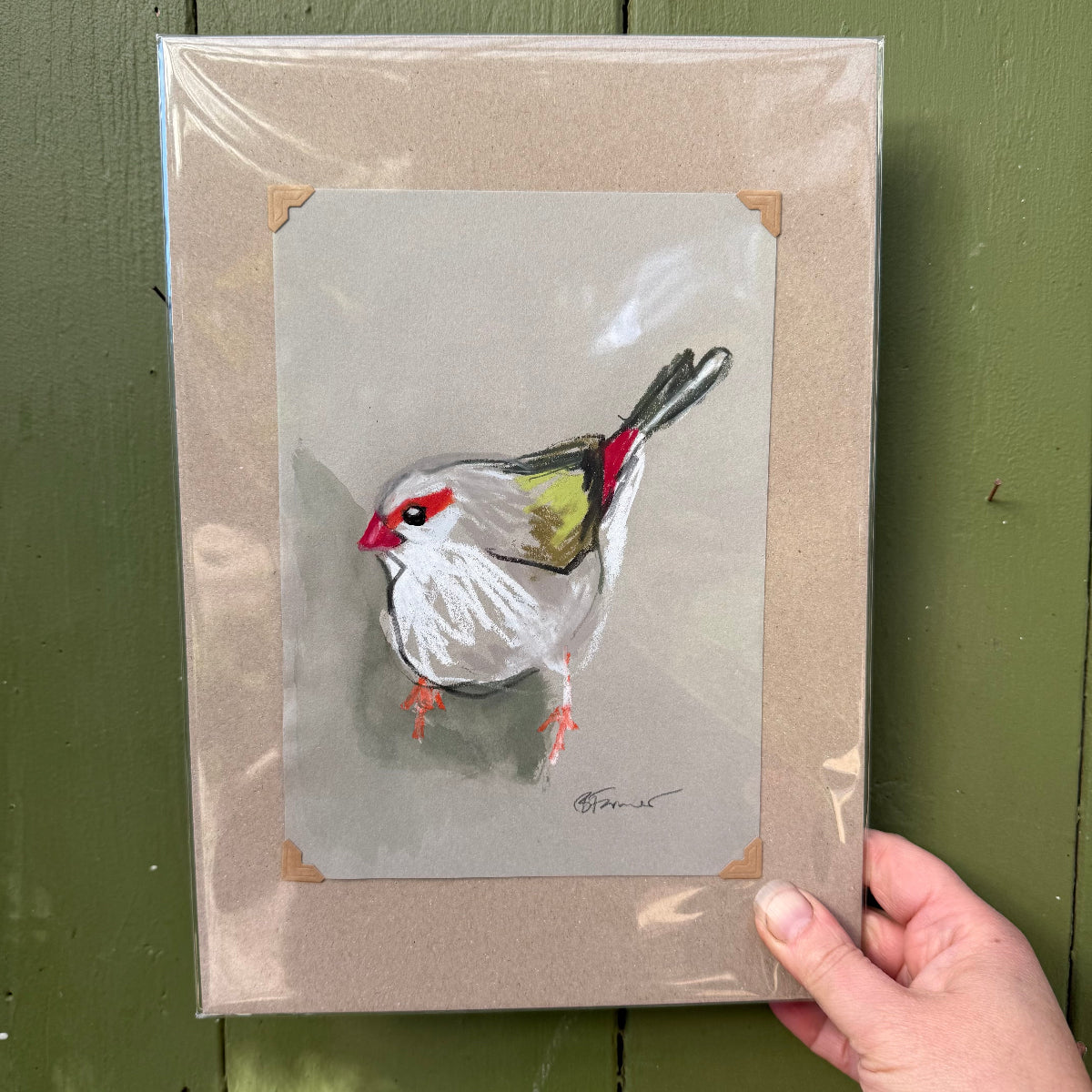 Red- Browed Finch - A5 Original Drawing (D56)