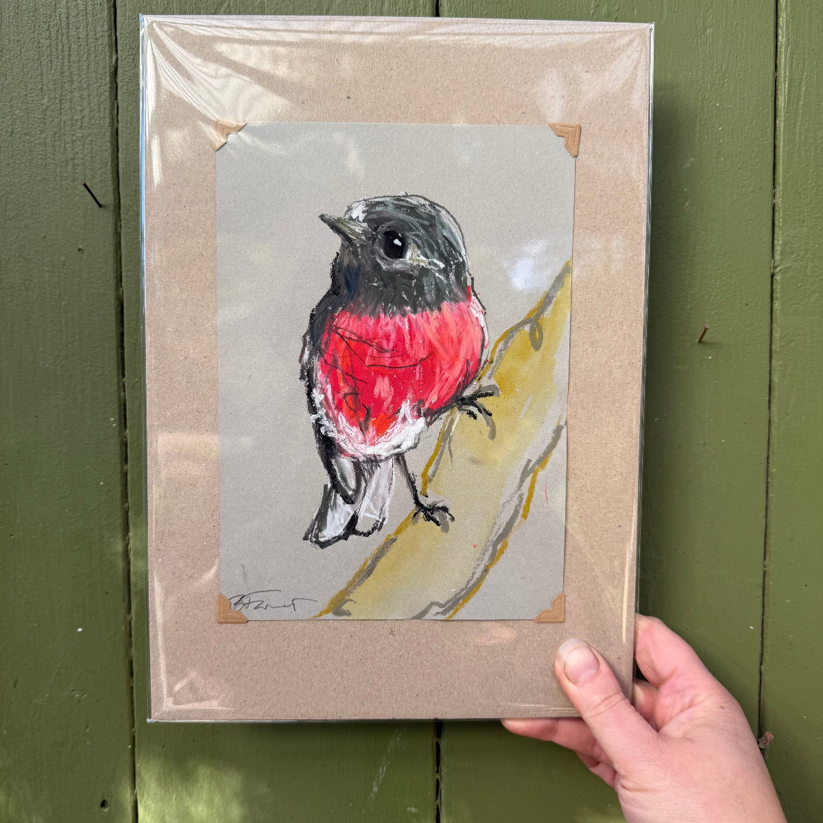 Male Rose Robin - A5 Original Drawing (D57)
