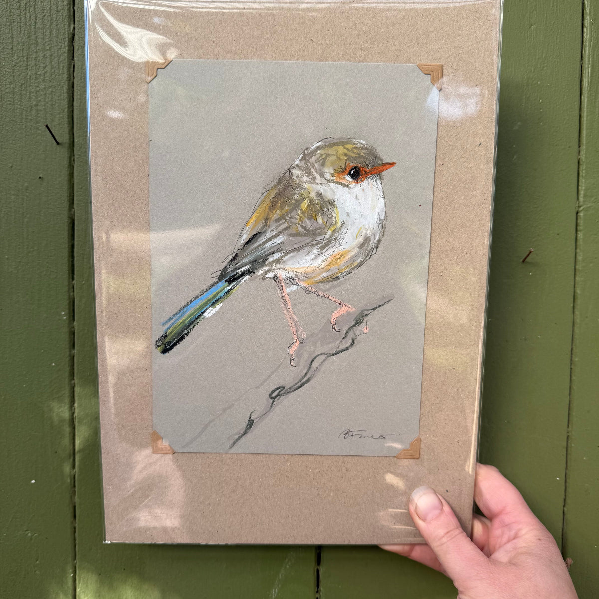 Female Splendid Fairywren - A5 Original Drawing (D58)