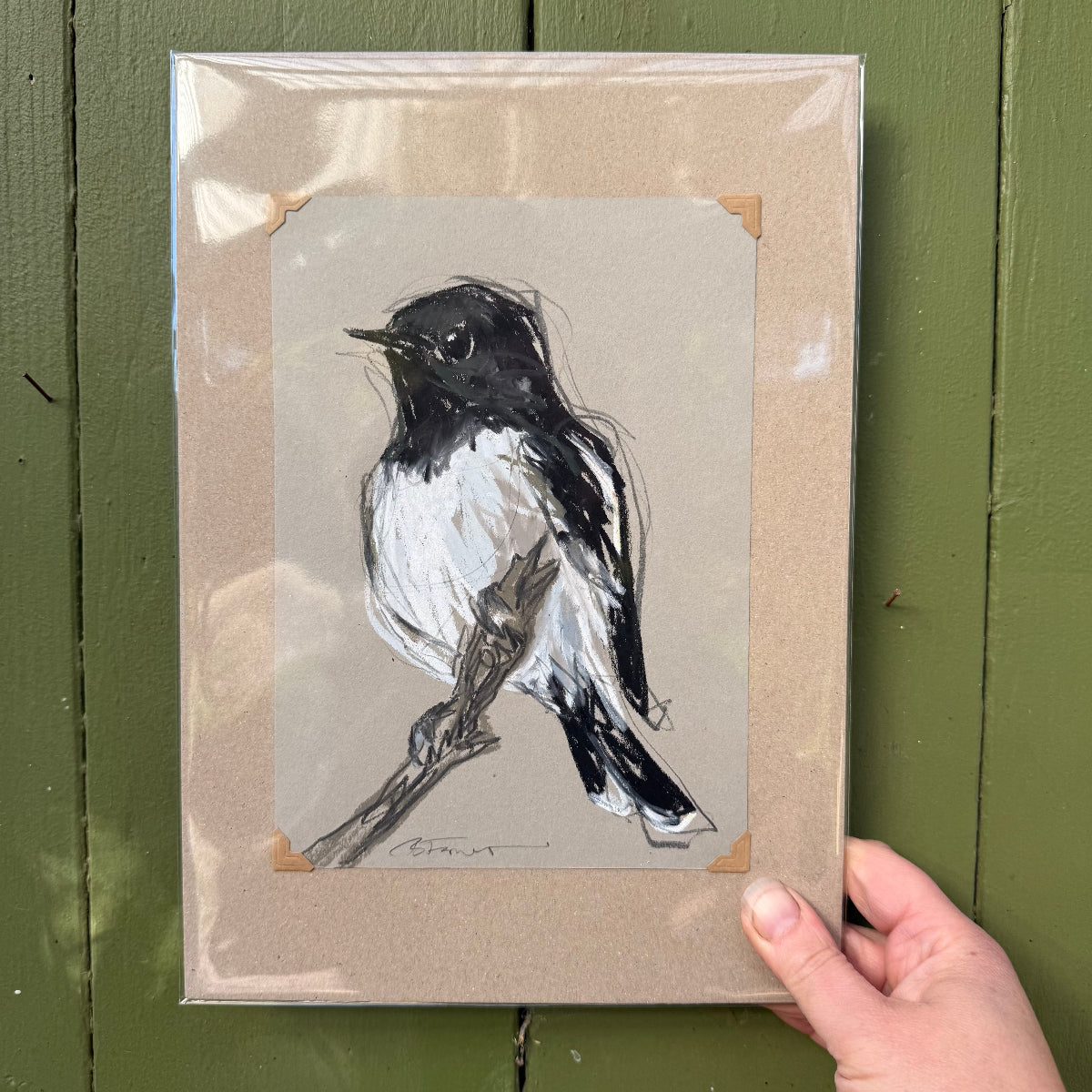 Hooded Robin - A5 Original Drawing (D59)