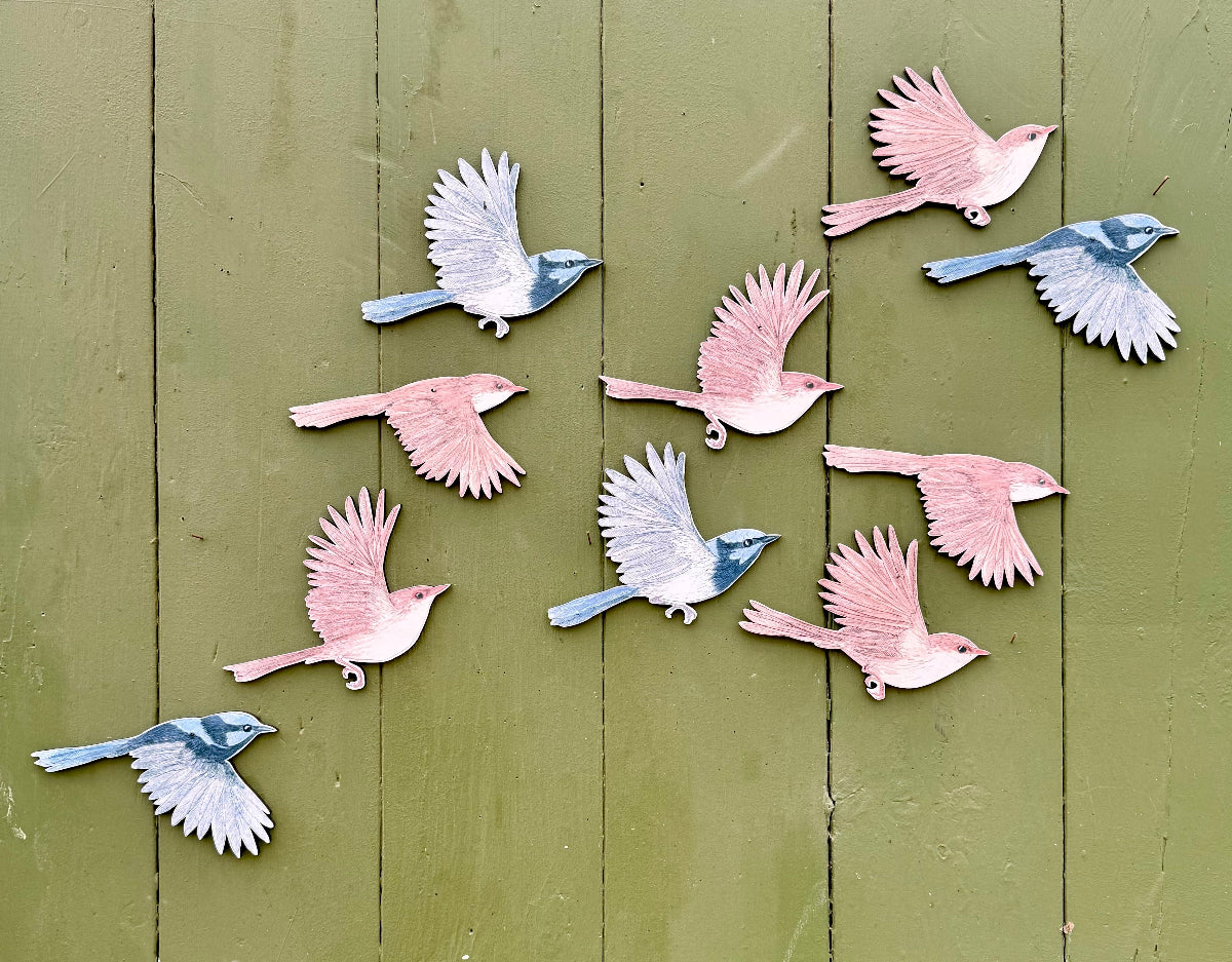 Australian Aviary ~ Wall Decorations ~ Superb Fairywrens (set of 5)