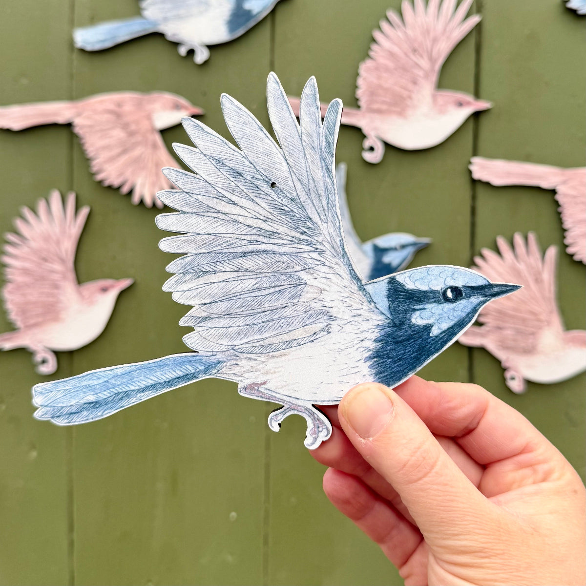 Australian Aviary ~ Wall Decorations ~ Superb Fairywrens (set of 5)