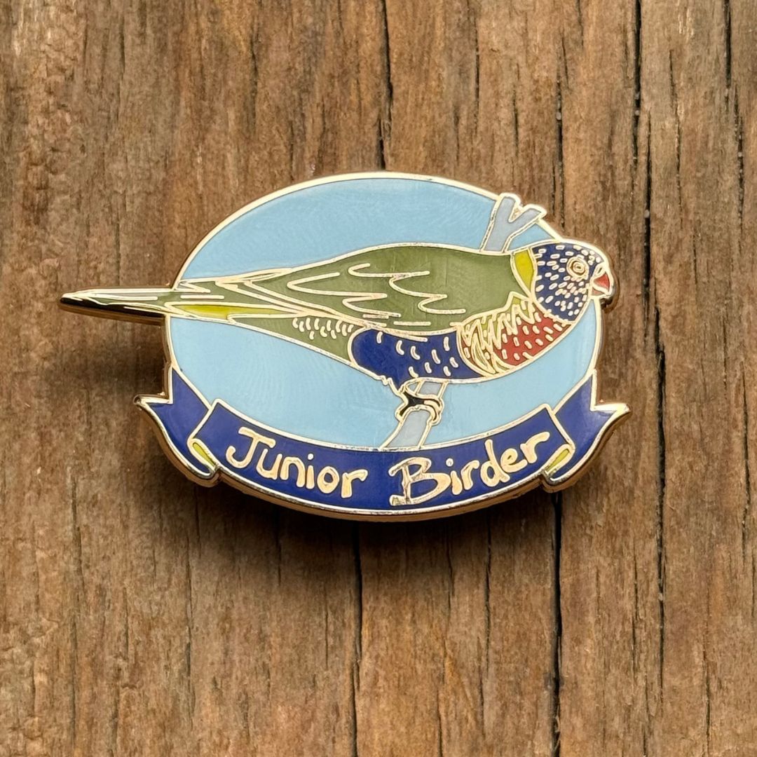 Pin's DIVERS Lot de 12 pin's dont 2 Arthus Bertrand Pin's DIVERS Lot de 12 pin's dont 2 Arthus Bertrand