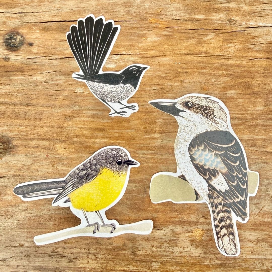Kookaburra Kookaburra 10th Anniversary Bundle