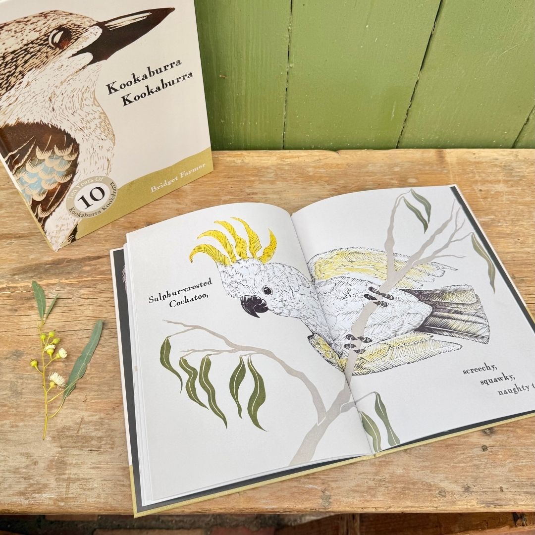 Kookaburra Kookaburra 10th Anniversary Bundle