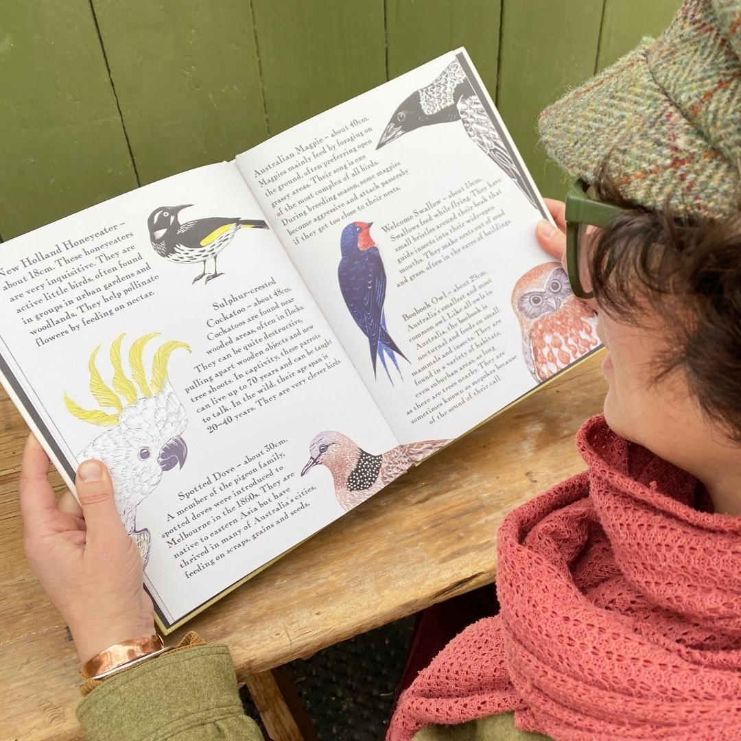 Kookaburra Kookaburra Children's Picture Book By Bridget Farmer