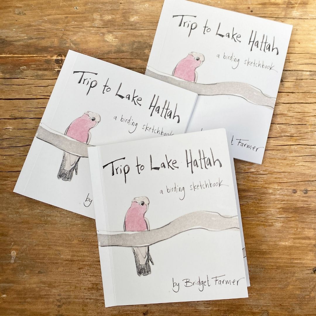 Trip to Lake Hattah - Artist Minibook