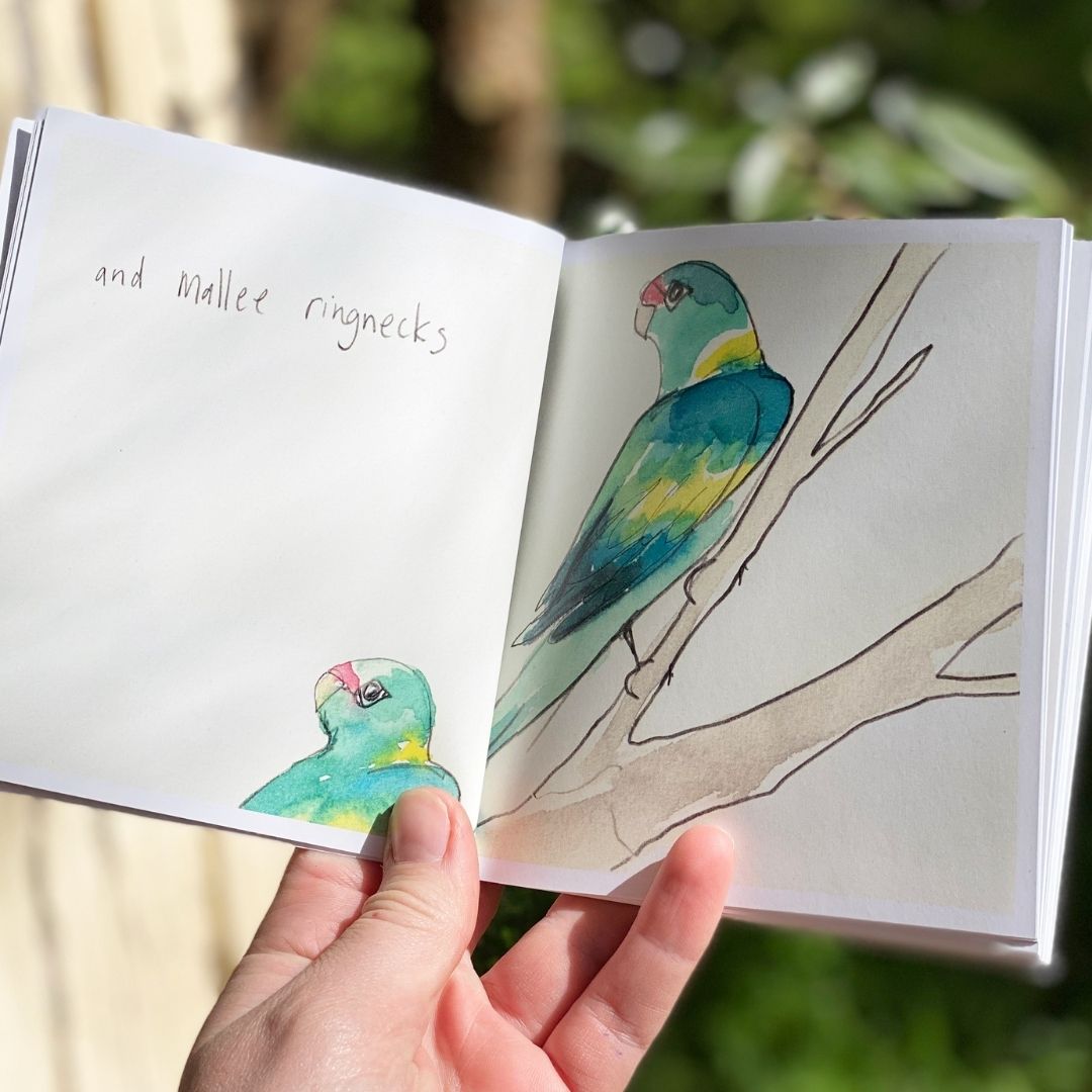 Trip to Lake Hattah - Artist Minibook