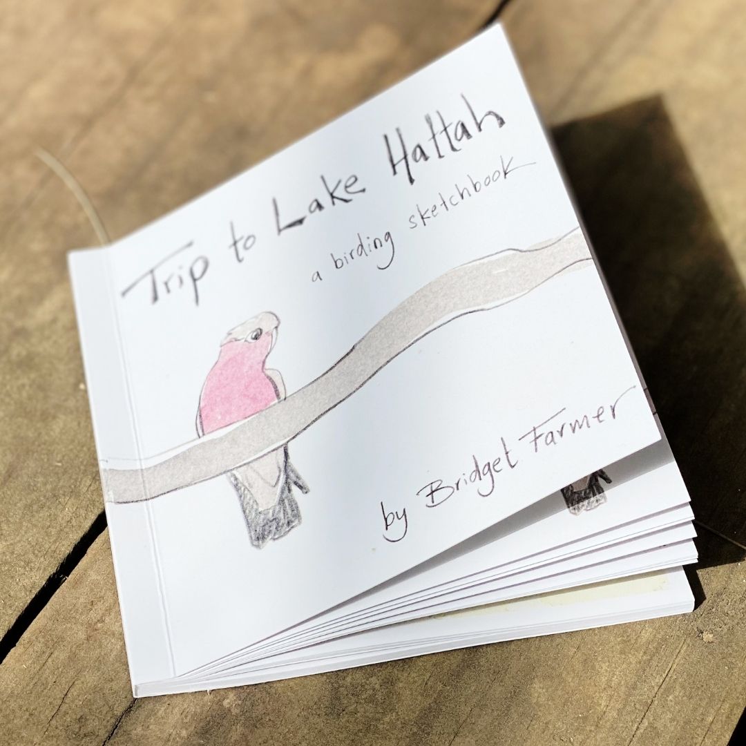 Trip to Lake Hattah - Artist Minibook